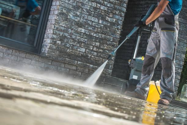 Best Roof Cleaning and Mildew Removal in East Troy, WI